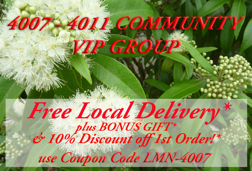 4007-4011 VIP Exclusive Offer!